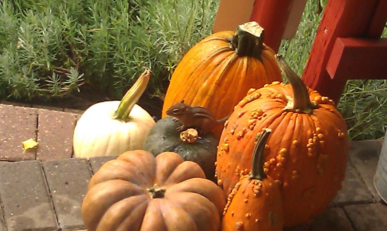 Harvest Home at RavenOak