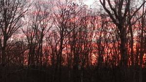 Monteagle Sunset 2